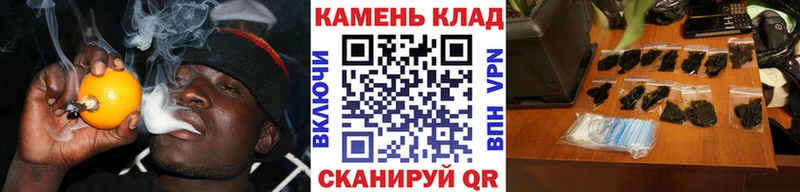 купить  цена  Ершов  ГАШИШ VHQ 
